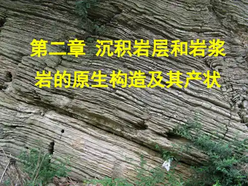 第2章沉积岩和岩浆岩的原生构造及其产状