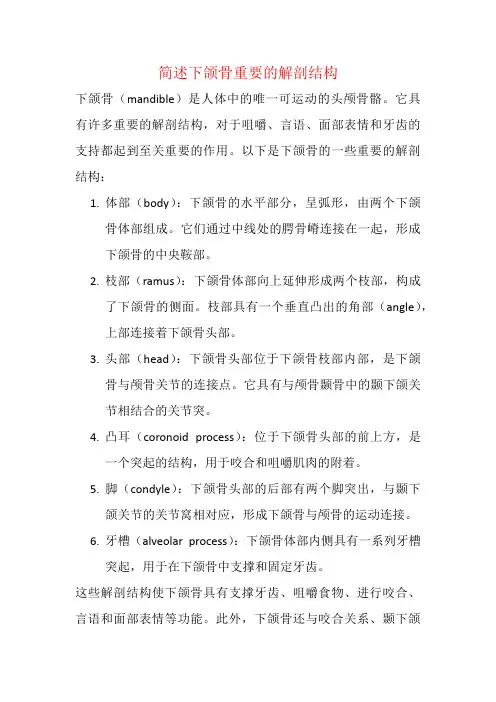 简述下颌骨重要的解剖结构