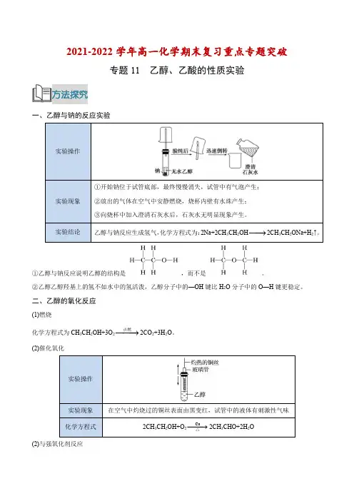 专题11 乙醇、乙酸的性质实验(解析版)