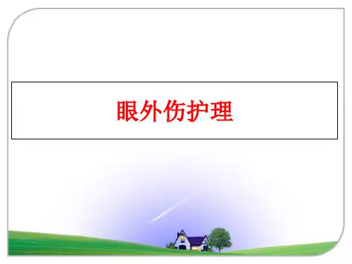 最新眼外伤护理ppt课件