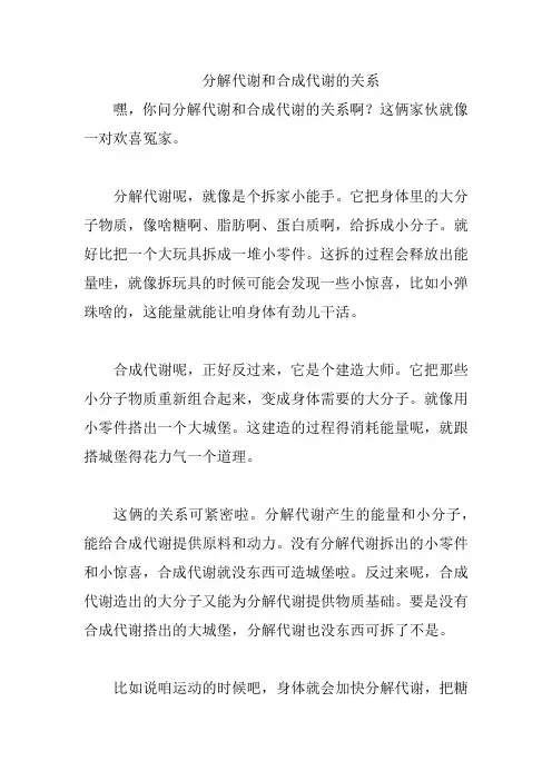 分解代谢和合成代谢的关系