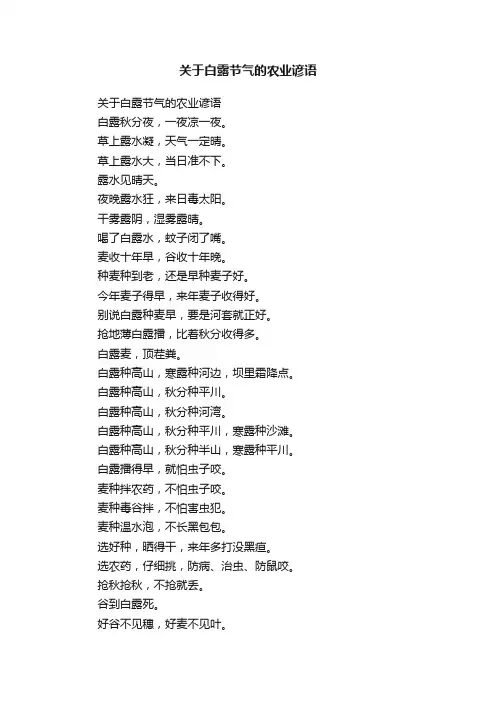 关于白露节气的农业谚语
