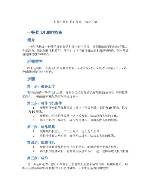 科技小制作 手工 简单 一等奖飞机