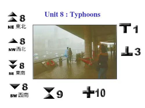 台风介绍ppt英文版