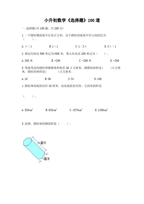 小升初数学《选择题》100道及一套完整答案