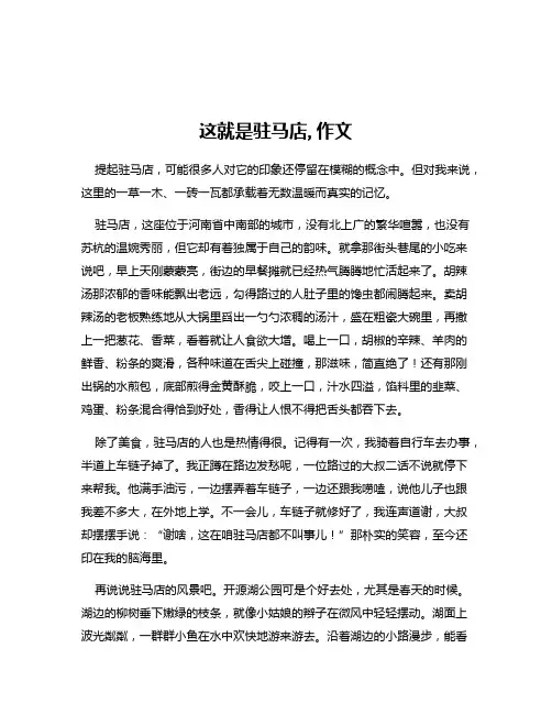 这就是驻马店,作文