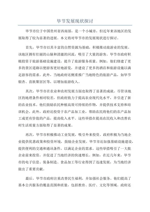毕节发展现状探讨