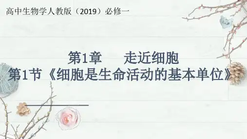 1.1细胞是生命活动的基本单位(课件共33张PPT)