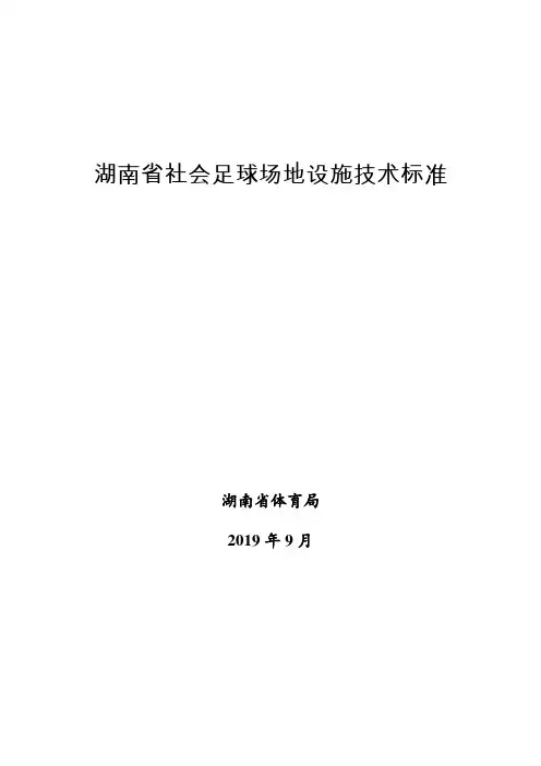 湖南省社会足球场地设施技术标准2019