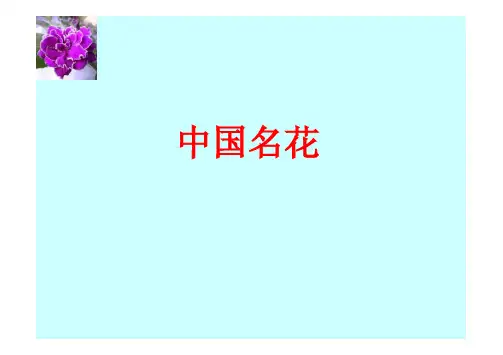 花卉文化学2(中国名花)