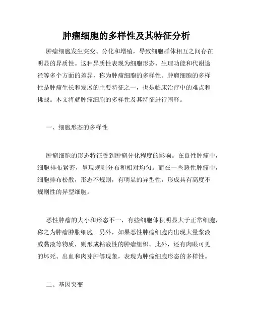 肿瘤细胞的多样性及其特征分析