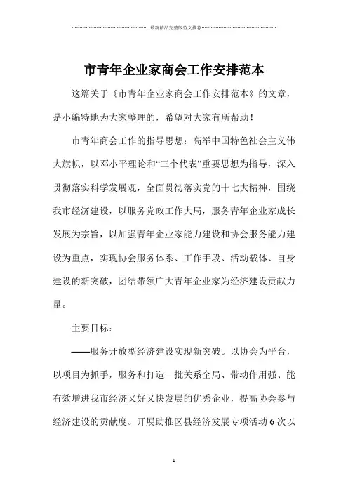市青年企业家商会工作安排范本
