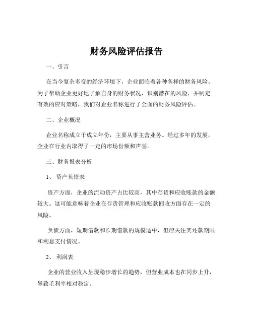 财务风险评估报告
