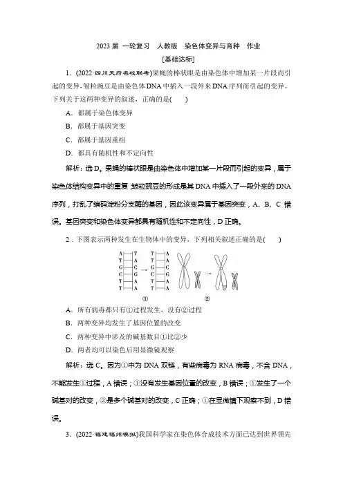 一轮复习  人教版  染色体变异与育种  作业