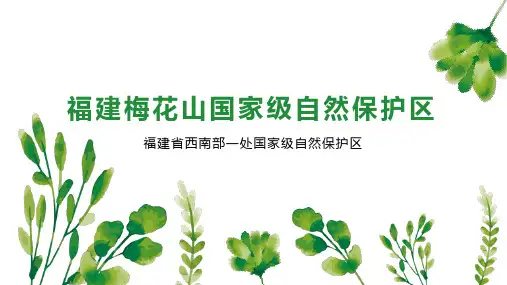福建梅花山国家级自然保护区