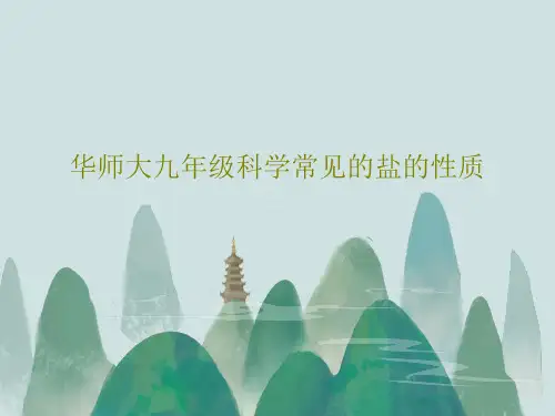 华师大九年级科学常见的盐的性质28页PPT