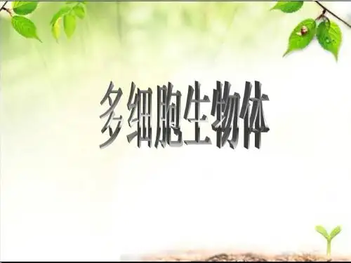 1.植物体的结构层次