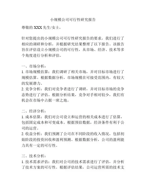 小规模公司可行性研究报告