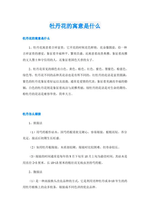 牡丹花的寓意是什么