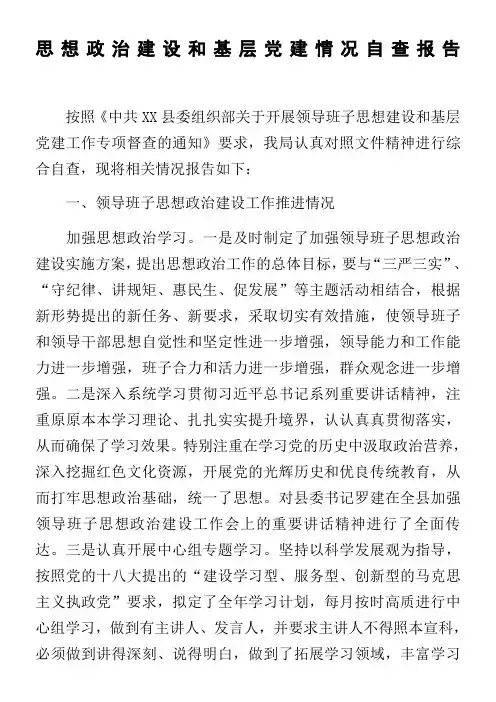 思想政治建设和基层党建情况自查报告
