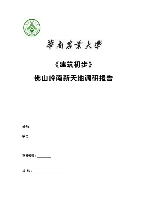 岭南新天地调研报告