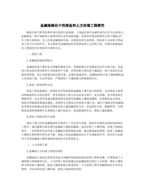 盐碱地绿化中的排盐和土方回填工程探究
