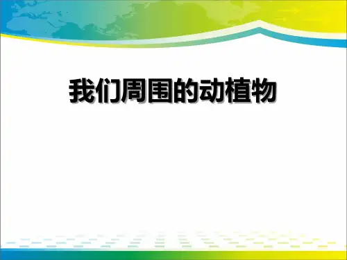 《我们周围的动植物》PPT下载【完美版课件】