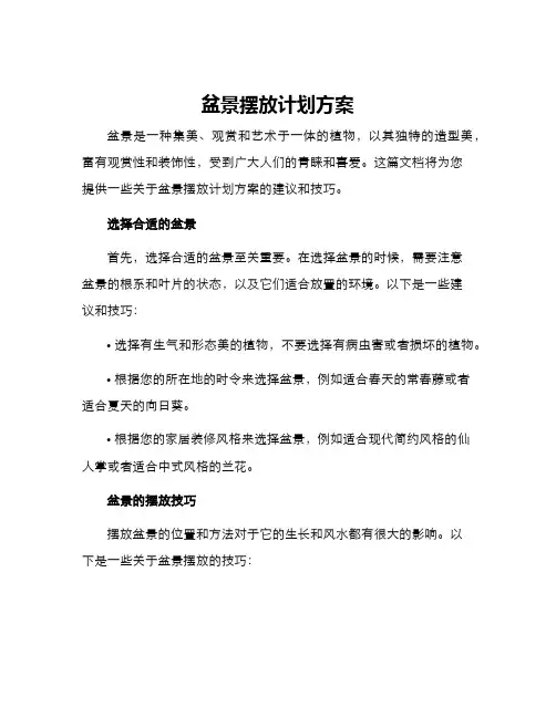 盆景摆放计划方案