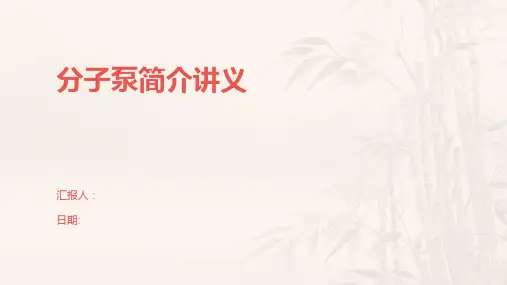 分子泵简介讲义