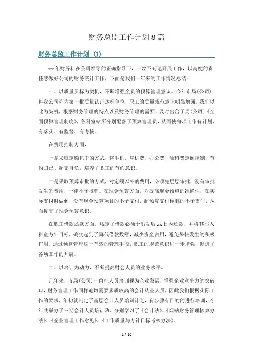 财务总监工作计划8篇