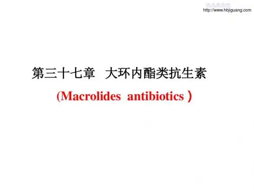 大环内酯类抗生素