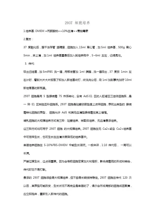 293T 细胞培养