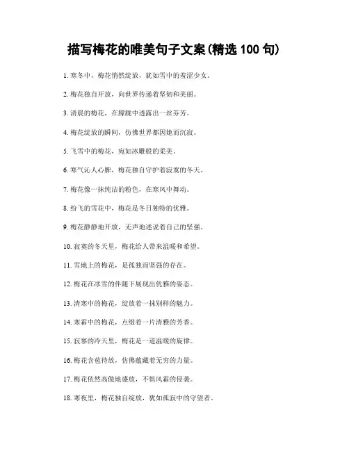描写梅花的唯美句子文案(精选100句)