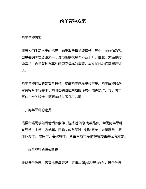 肉羊育种方案