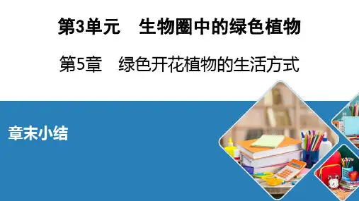北师大生物七年级上册绿色开花植物的生活方式章末小结