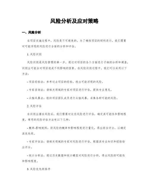 风险分析及应对策略