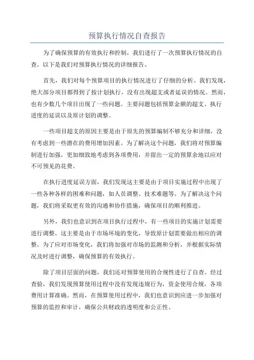 预算执行情况自查报告