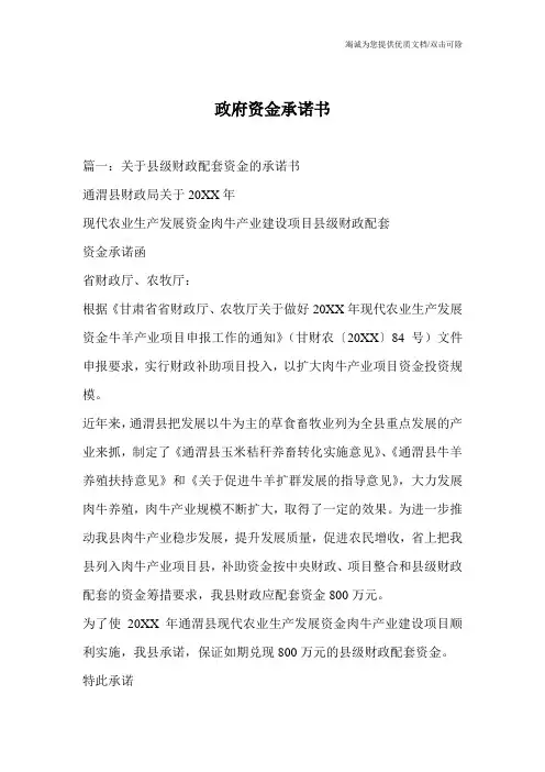 政府资金承诺书