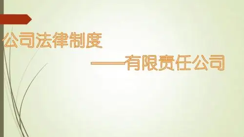 有限责任公司
