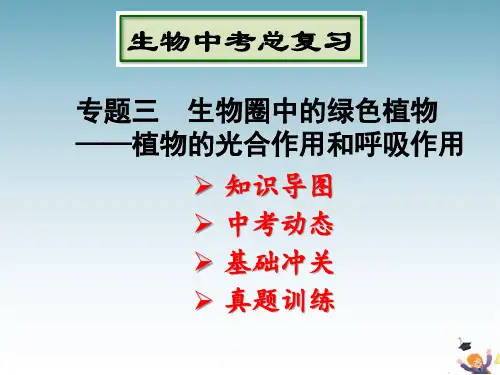 光合作用和呼吸作用 复习课件
