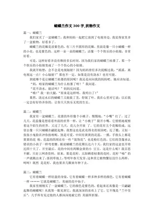 蝴蝶兰作文300字_状物作文