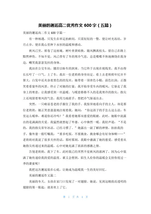 美丽的邂逅高二优秀作文600字（五篇）
