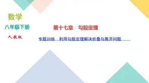 八年级下册数学习题专题训练利用勾股定理解决折叠与展开问题PPT公开课