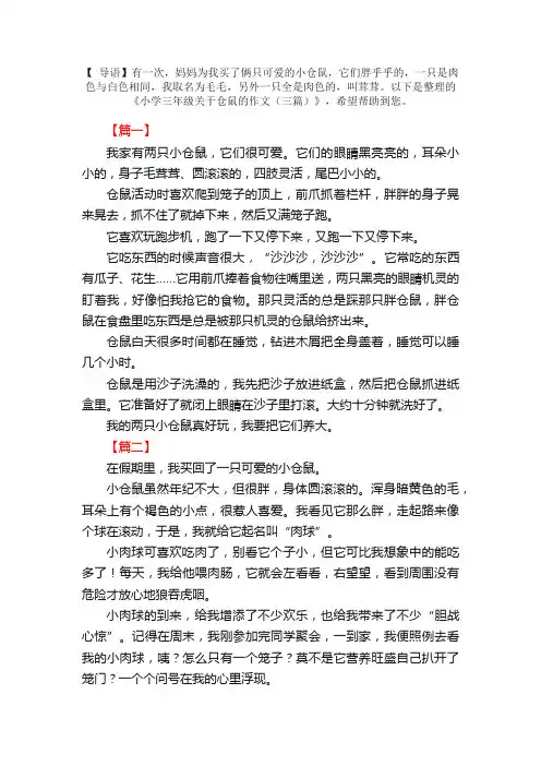 小学三年级关于仓鼠的作文（三篇）