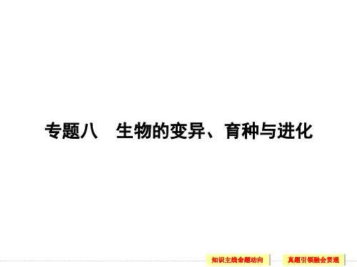 高考生物(江西专用)二轮专题复习配套课件第一篇专题八生物的变异、育种与进化