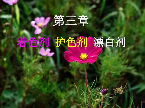 《食品添加剂》第三章3