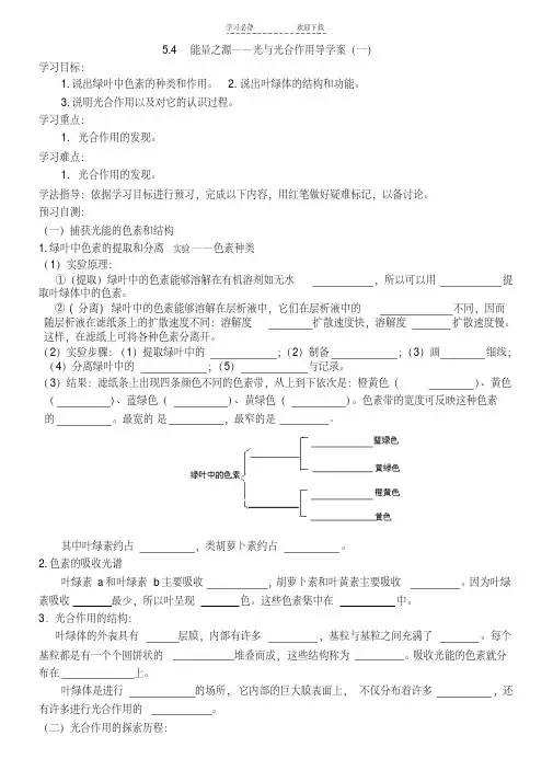 能量之源光与光合作用导学案