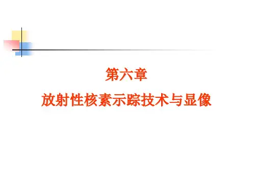 第六章示踪技术及放射性核素显像技术剖析