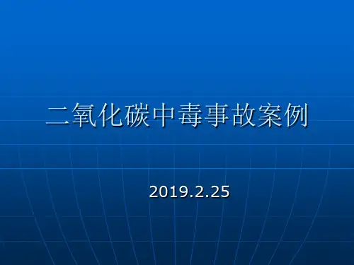 二氧化碳中毒事故案例-26页文档资料