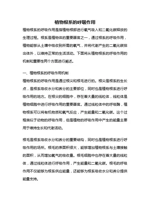 植物根系的呼吸作用